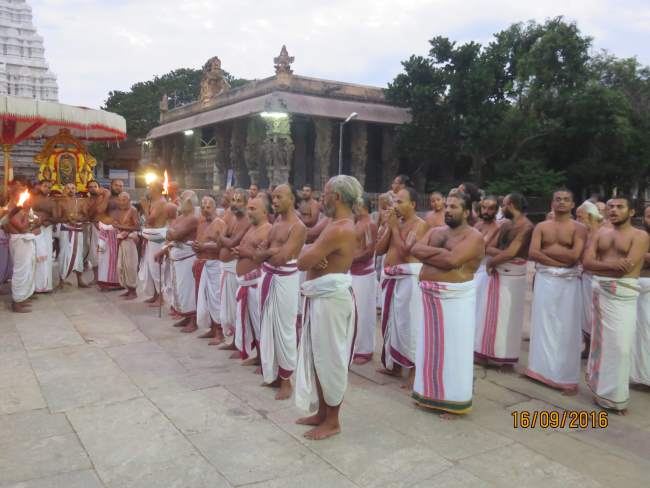kanchi-devarajaswami-temple-pavithrotsavam-2016031