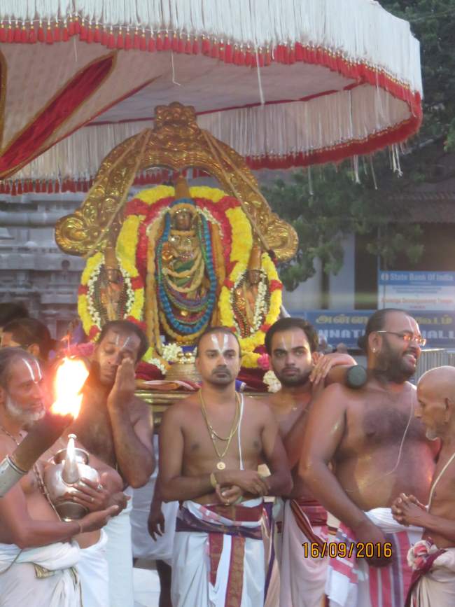 kanchi-devarajaswami-temple-pavithrotsavam-2016032