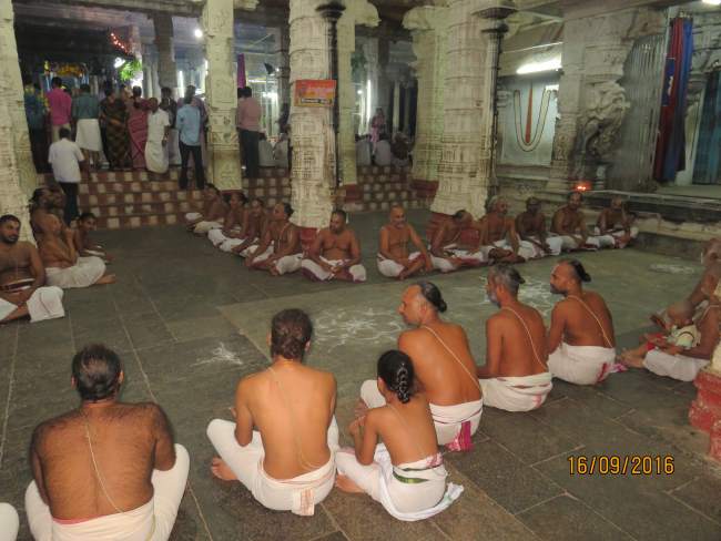 kanchi-devarajaswami-temple-pavithrotsavam-2016034