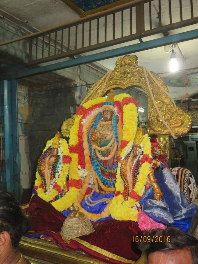 kanchi-devarajaswami-temple-pavithrotsavam-2016043