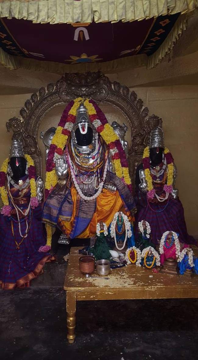 malayankulam-sri-veetriruntha-narayan-perumal-temple-pavithrotsavam-007