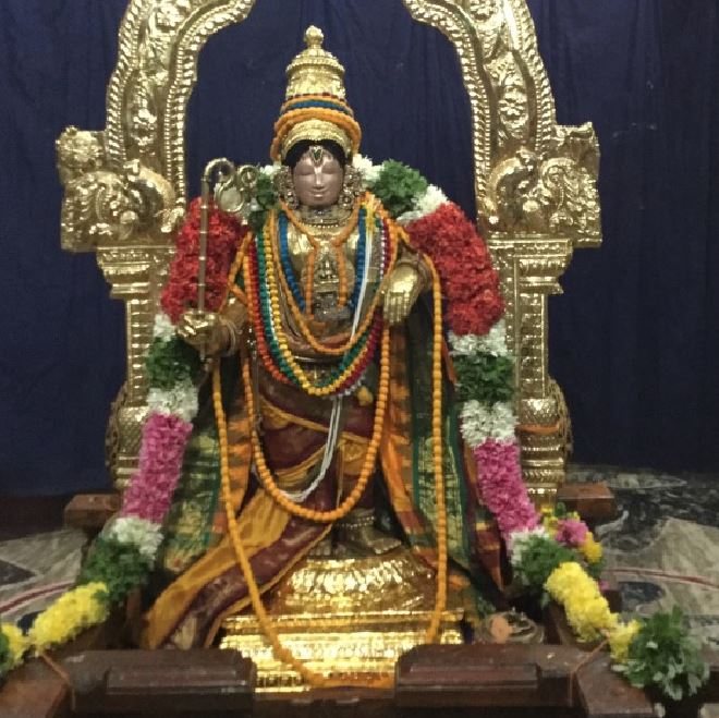 mannargudi-sri-rajagopalaswami-temple-pavithrotsava-theerthavari-2016
