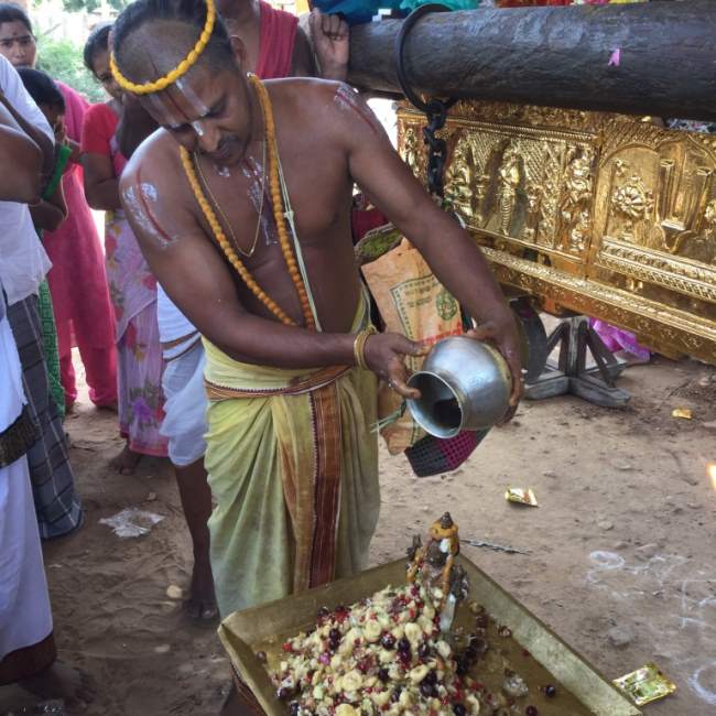 mannargudi-sri-rajagopalaswami-temple-theerthavari-pavithrotsavam016