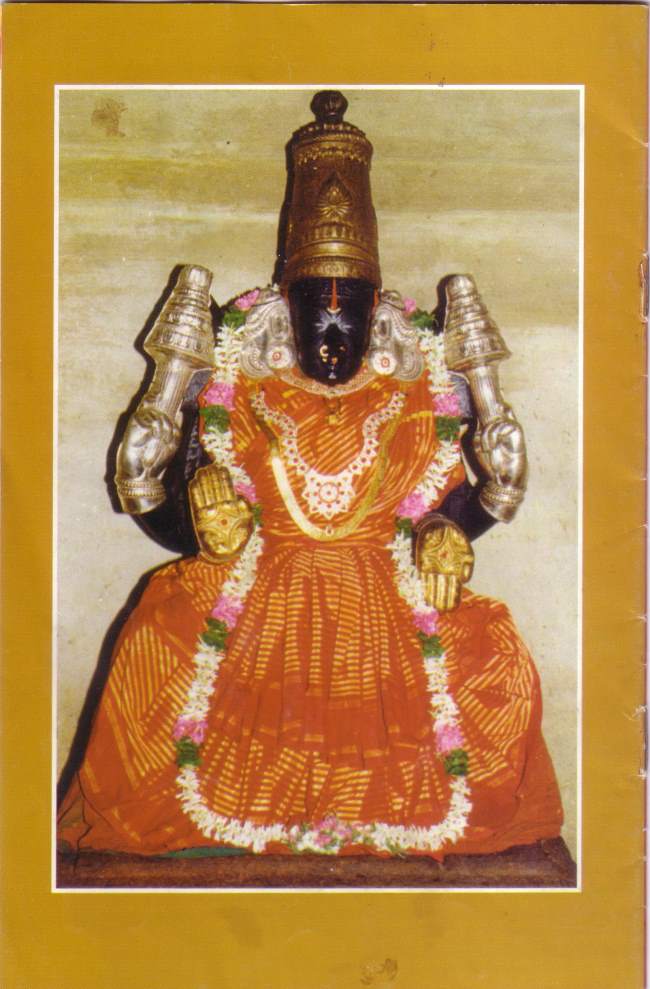 nagereshu-kanchi-pandava-dhootha-perumal-temple-travalogue-033