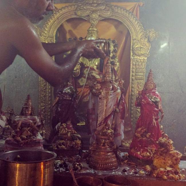 nallur-sri-sundaravaradaraja-perumal-temple-purattasi-thiruvadhirai-utsavam-2016003