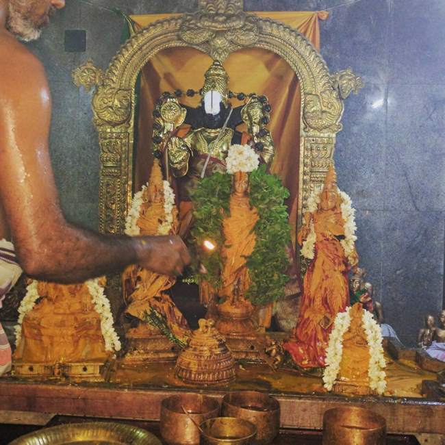 nallur-sri-sundaravaradaraja-perumal-temple-purattasi-thiruvadhirai-utsavam-2016005
