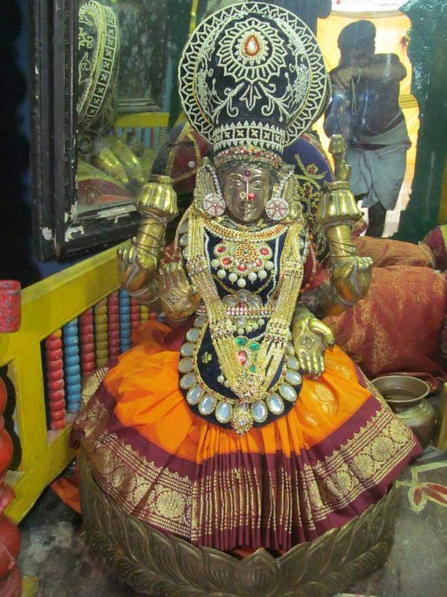 pachai-vannar-perumal-temple-016