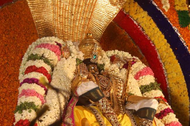 pondichery-sri-hayagreevar-sannadhi-brahmotsavam-day-3-2016001