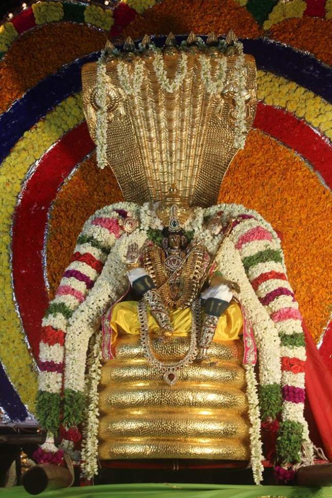 pondichery-sri-hayagreevar-sannadhi-brahmotsavam-day-3-2016006
