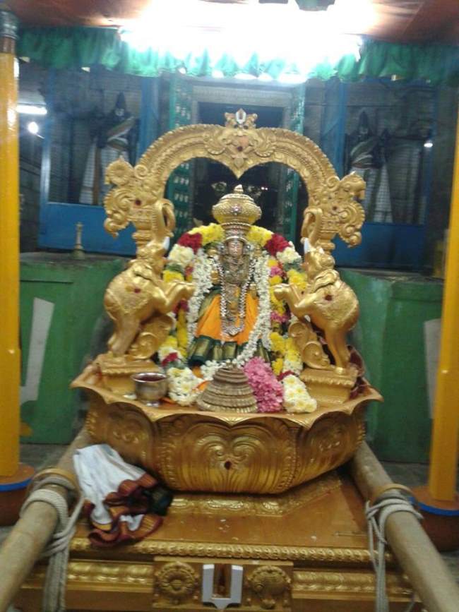 sholingur-sri-amruthavalli-thayar-purattasi-sukravara-purappadu-2016003