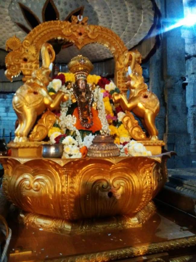 sholingur-sri-amruthavalli-thayar-purattasi-sukravara-purappadu-2016009