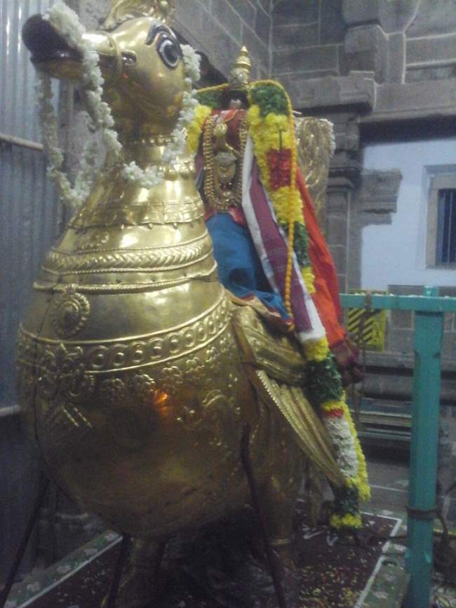 srivilliputhur-sri-vadapathrasayee-temple-pavithrotsavam-2016001