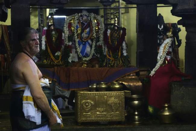 srivilliputhur-sri-vadapathrasayee-temple-pavithrotsavam-2016009