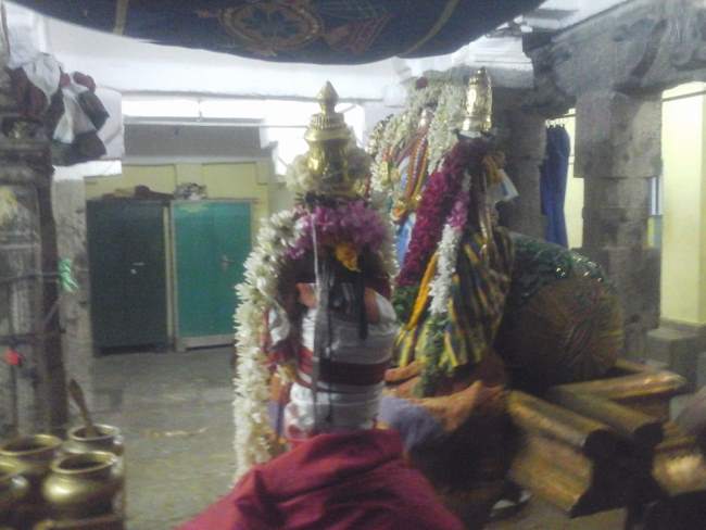 srivilliputhur-sri-vadapathrasayee-temple-pavithrotsavam-2016010