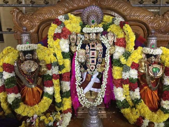 thirukovalur-sri-trivikrama-perumal-temple-purattasi-thiruvadhirai-2016007
