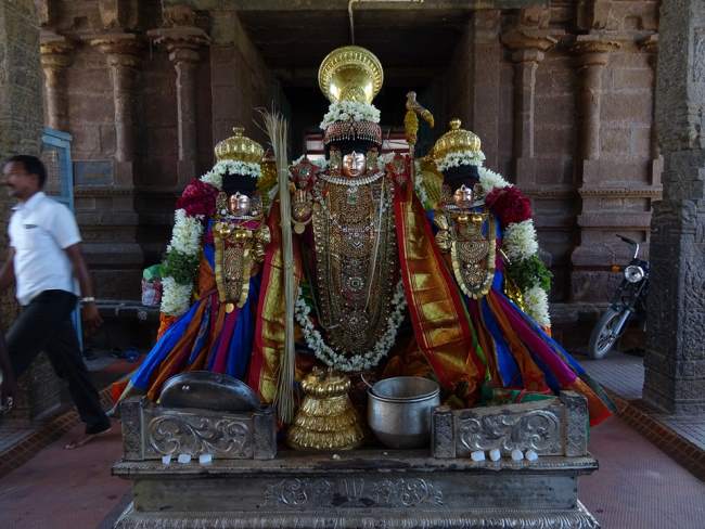 thiruvahindrapuram-devanathan-perumal-temple-pavithrotsavam-2016002