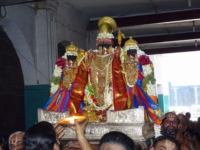 thiruvahindrapuram-devanathan-perumal-temple-pavithrotsavam-2016007