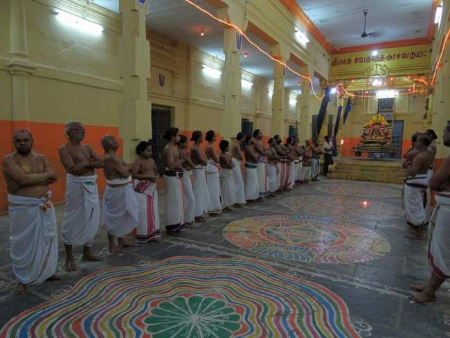 thiruvahindrapuram-devanathan-perumal-temple-pavithrotsavam-2016008