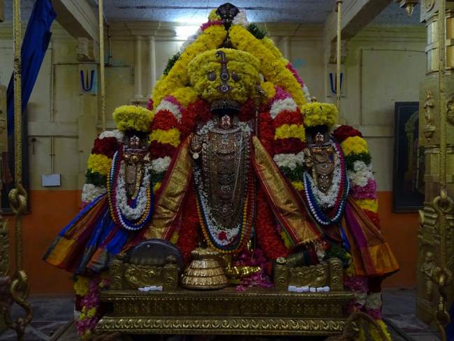 thiruvahindrapuram-devanathan-perumal-temple-pavithrotsavam-2016009