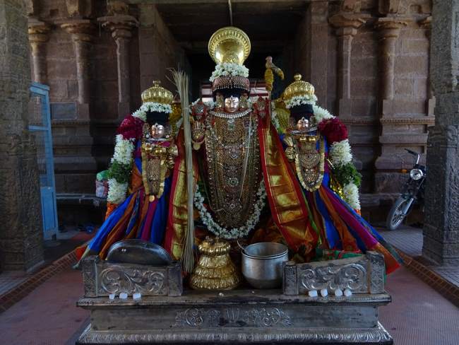 thiruvahindrapuram-devanathan-perumal-temple-pavithrotsavam-2016010