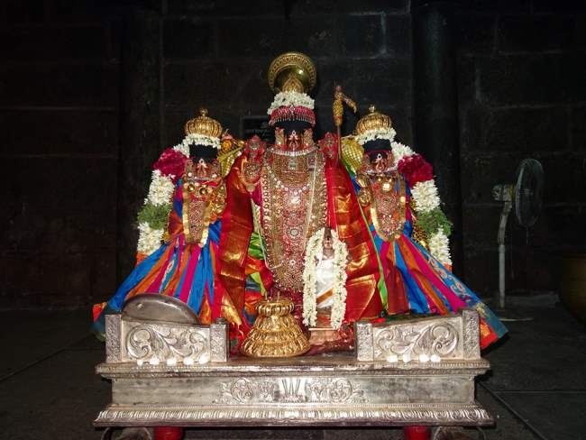 thiruvahindrapuram-devanathan-perumal-temple-pavithrotsavam-2016012