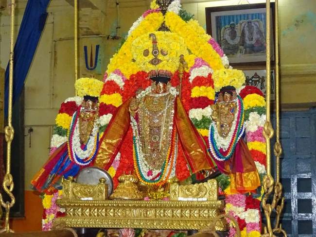 thiruvahindrapuram-devanathan-perumal-temple-pavithrotsavam-2016013