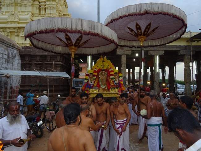 thiruvahindrapuram-devanathan-perumal-temple-pavithrotsavam-2016017