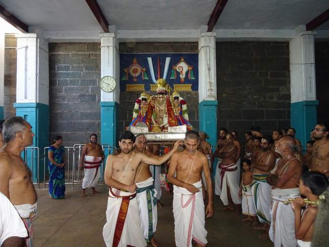 thiruvahindrapuram-devanathan-perumal-temple-pavithrotsavam-2016022