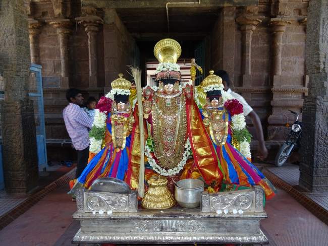 thiruvahindrapuram-devanathan-perumal-temple-pavithrotsavam-2016024