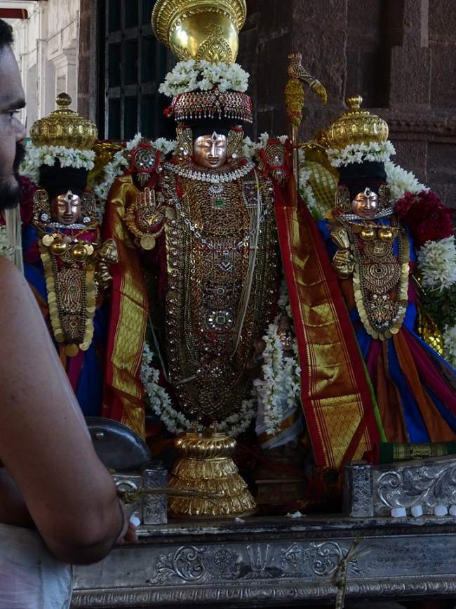 thiruvahindrapuram-devanathan-perumal-temple-pavithrotsavam-2016026