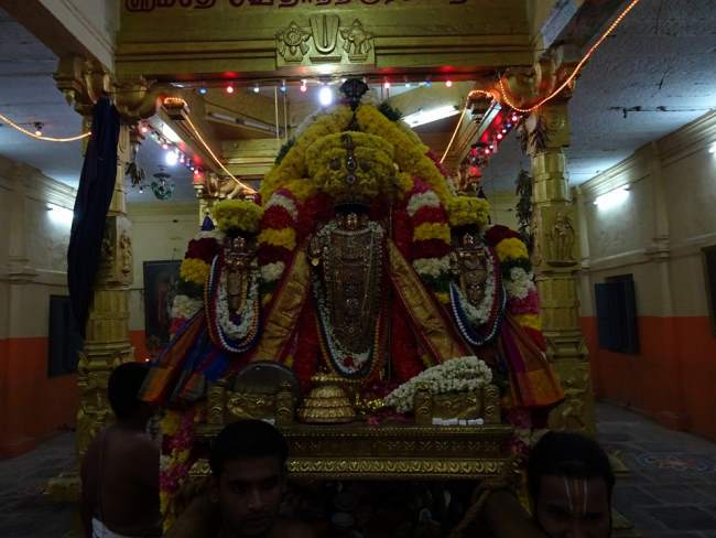 thiruvahindrapuram-devanathan-perumal-temple-pavithrotsavam-2016027