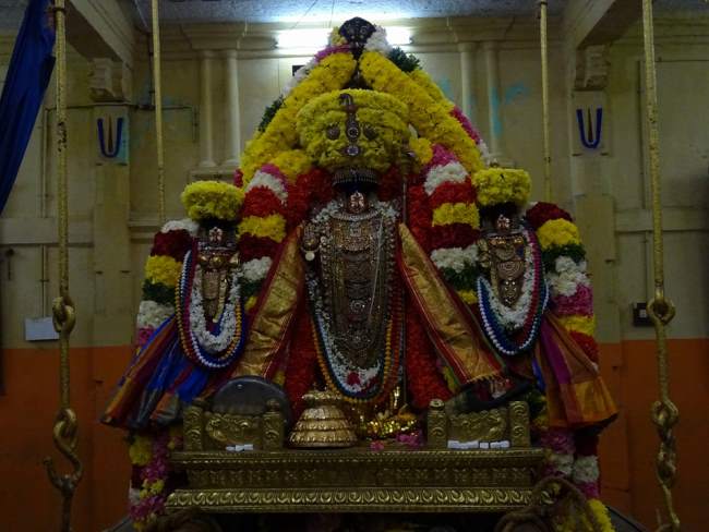 thiruvahindrapuram-devanathan-perumal-temple-pavithrotsavam-2016028