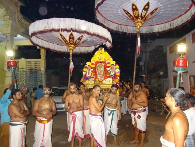 thiruvahindrapuram-devanathan-perumal-temple-pavithrotsavam-2016030