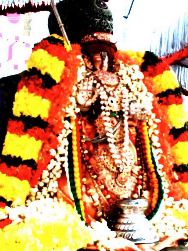thiruvallur-sri-adhivan-satakopan-thirunakshatra-utsavam-day-1-2016006