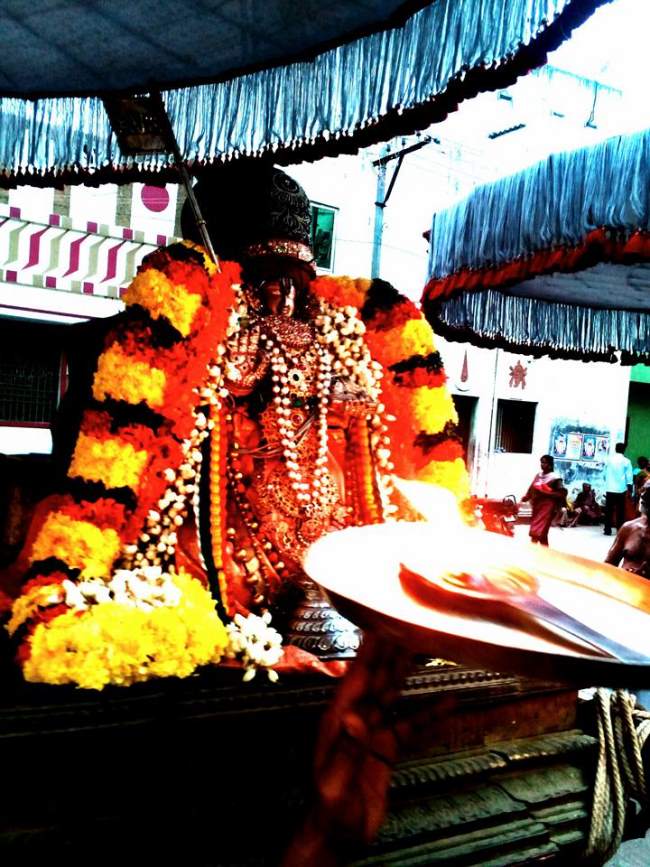 thiruvallur-sri-adhivan-satakopan-thirunakshatra-utsavam-day-1-2016010