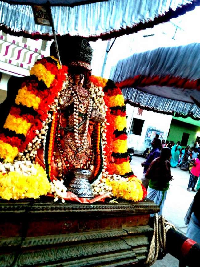 thiruvallur-sri-adhivan-satakopan-thirunakshatra-utsavam-day-1-2016012