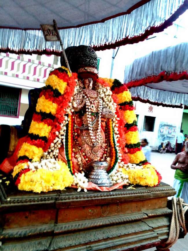 thiruvallur-sri-adhivan-satakopan-thirunakshatra-utsavam-day-1-2016015