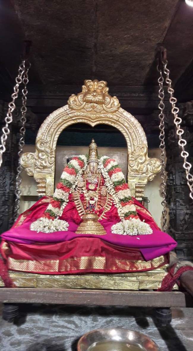 thiruvallur-sri-kanakavalli-thayar-purattasi-sukravara-purappadu-2016012