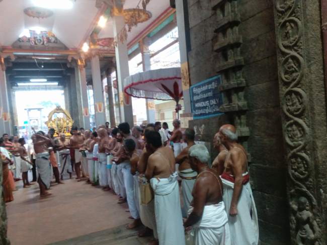 thiruvallur-sri-veeraraghava-perumal-kovil-pavithrotsavam-day-3-2016004