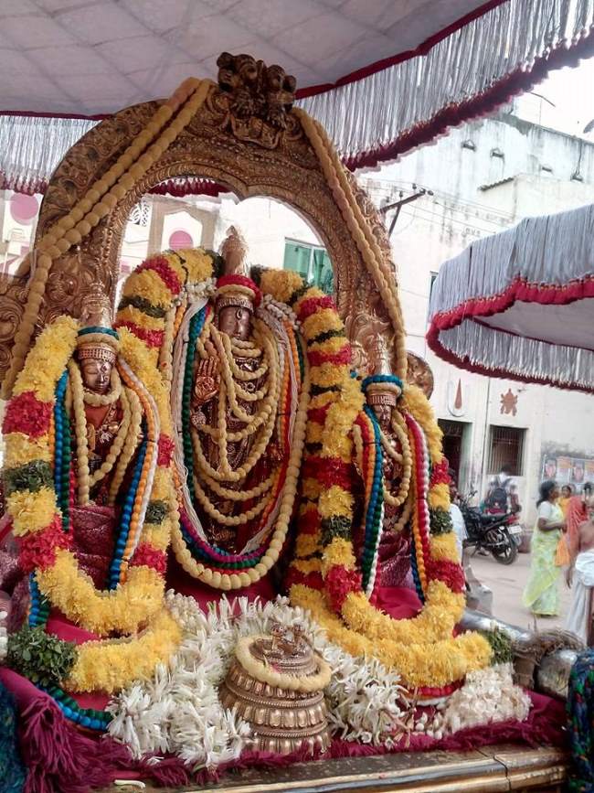 thiruvallur-sri-veeraraghava-perumal-kovil-pavithrotsavam-day-3-2016005