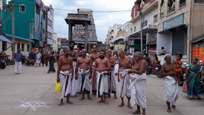 thiruvallur-sri-veeraraghava-perumal-kovil-pavithrotsavam-day-3-2016006