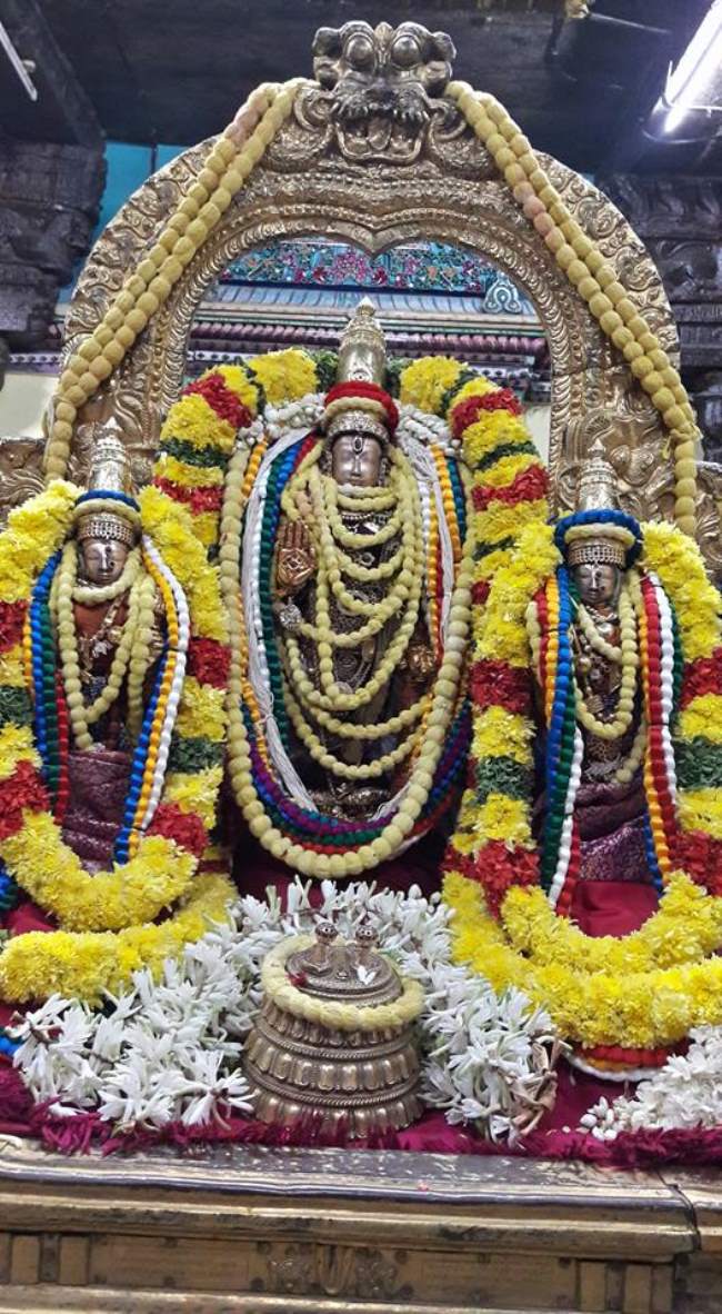 thiruvallur-sri-veeraraghava-perumal-kovil-pavithrotsavam-day-3-2016007