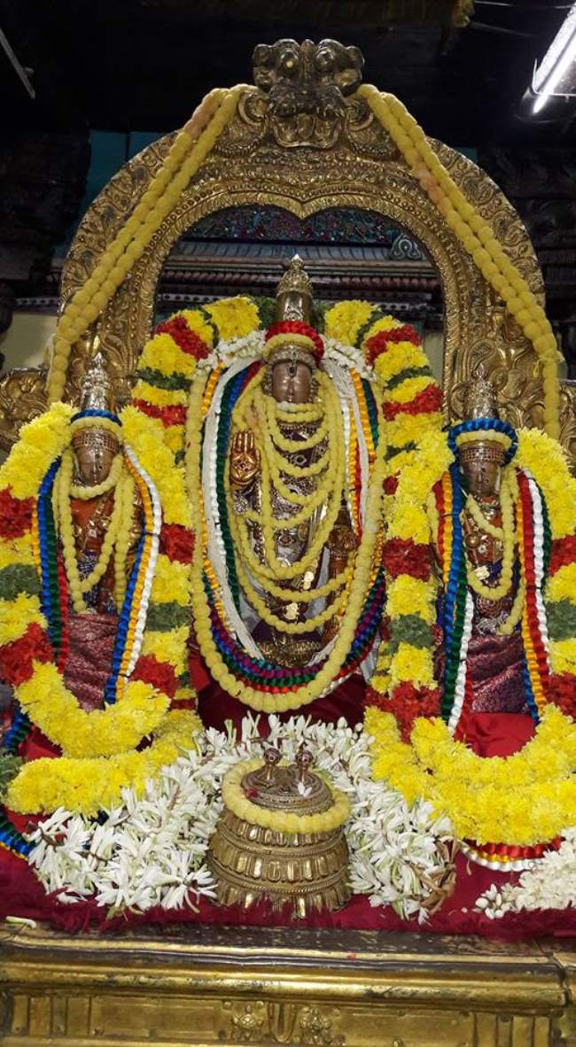 thiruvallur-sri-veeraraghava-perumal-kovil-pavithrotsavam-day-3-2016018