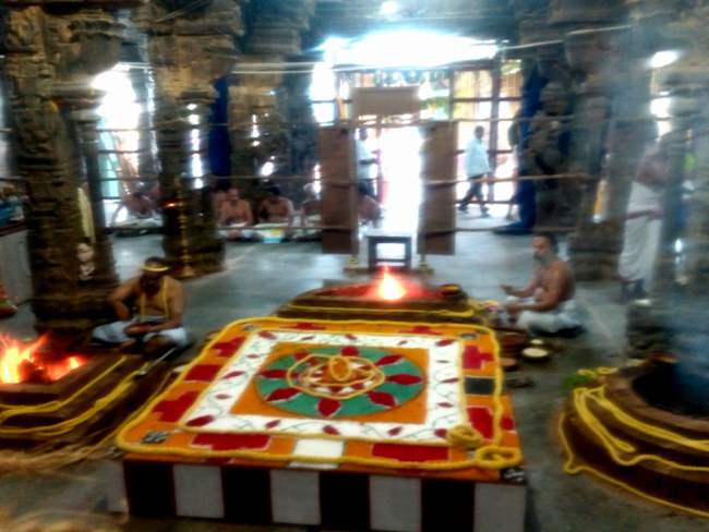 thiruvallur-sri-veeraraghava-perumal-temple-pavithrotsavam-day-2-2016001