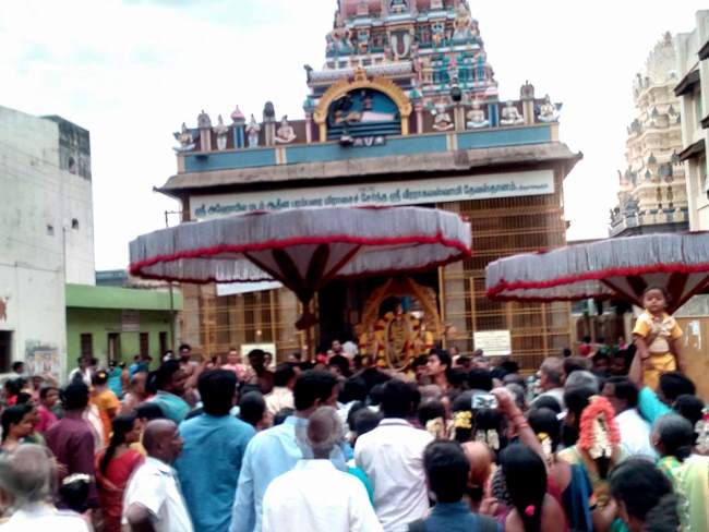 thiruvallur-sri-veeraraghava-perumal-temple-pavithrotsavam-day-2-2016002