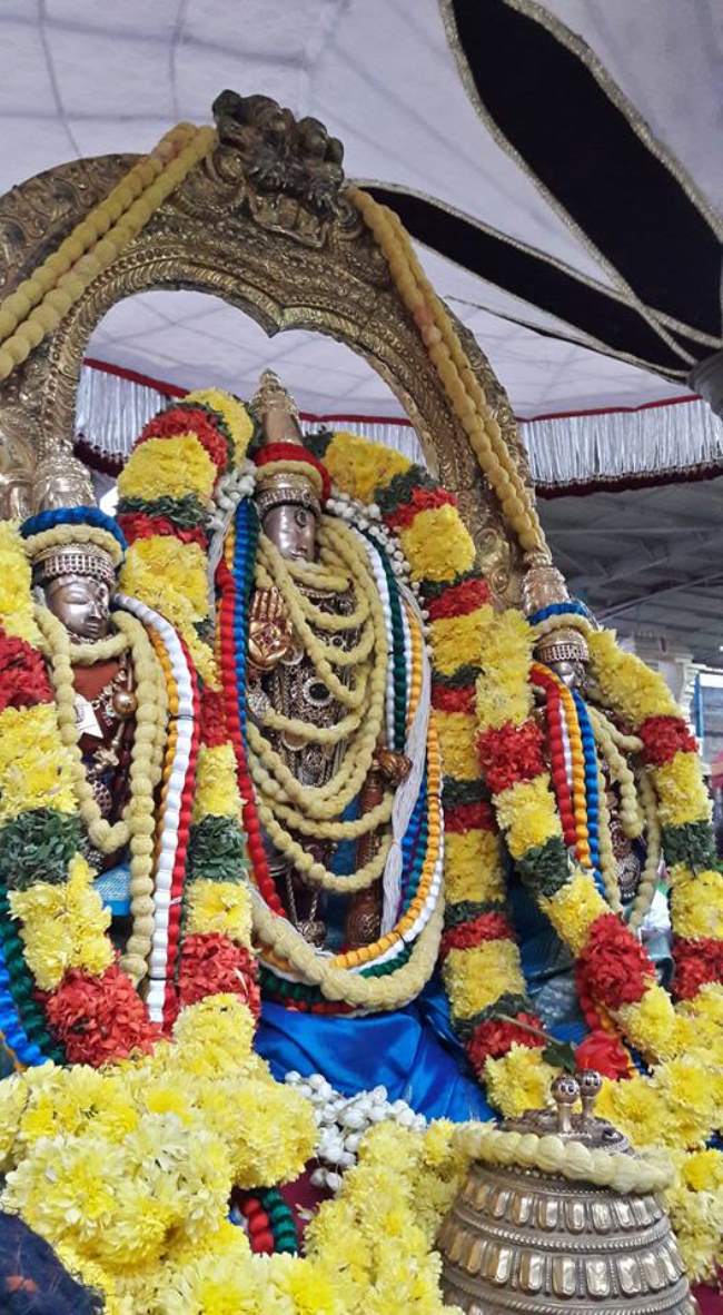 thiruvallur-sri-veeraraghava-perumal-temple-pavithrotsavam-day-2-2016005