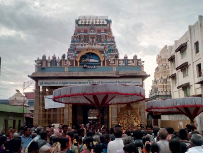 thiruvallur-sri-veeraraghava-perumal-temple-pavithrotsavam-day-2-2016007