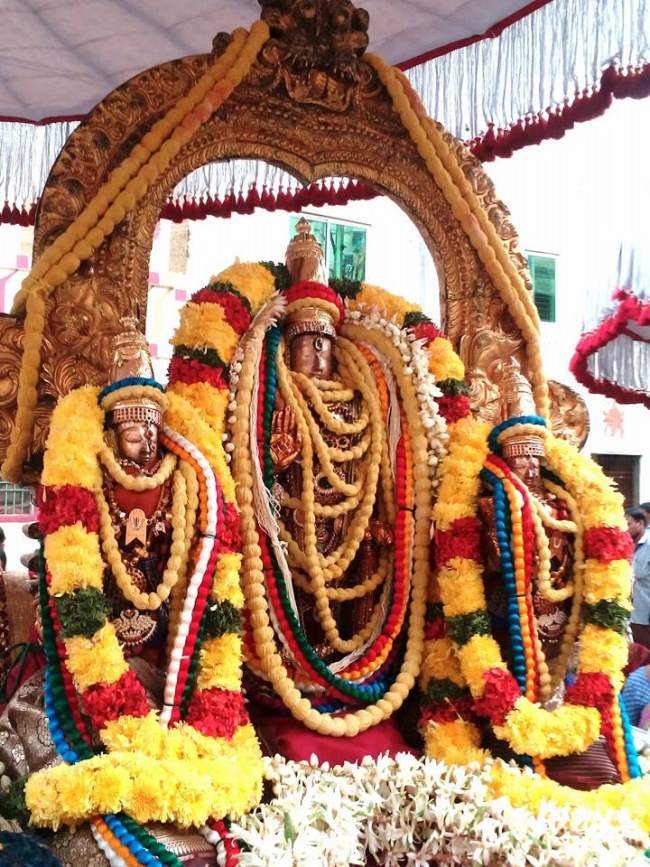 thiruvallur-sri-veeraraghava-perumal-temple-pavithrotsavam-day-2-2016008