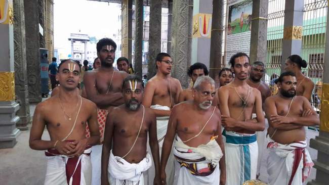 thiruvallur-sri-veeraraghava-perumal-temple-pavithrotsavam-day-2-2016010