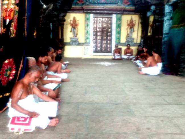 thiruvallur-sri-veeraraghava-perumal-temple-pavithrotsavam-day-2-2016011